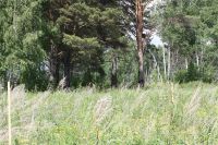 Лот: 2940588. Фото: 2. Участок Заустюжье-2. Продажа