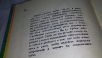 Лот: 10167357. Фото: 3. Пешком над облаками, Г.Садовников... Литература, книги