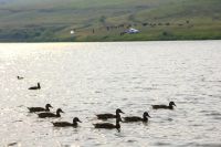 Лот: 11860319. Фото: 15. Земельный участок, Кузнецово