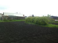 Лот: 4171366. Фото: 3. Домик в деревне. Недвижимость