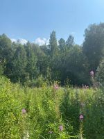 Лот: 16552992. Фото: 4. Участок 15 сот СНО Гелиос-5. Красноярск