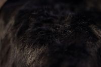 Лот: 4611976. Фото: 4. Куртка зимняя теплая со съёмным... Красноярск