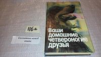 Лот: 5869989. Фото: 6. Ваши домашние четвероногие друзья...
