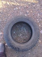 Лот: 6397842. Фото: 4. матадор шиповка 1 шт. Красноярск