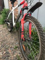 Лот: 11625080. Фото: 2. Велосипед. Велоспорт