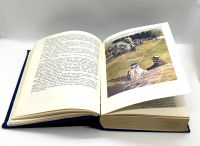 Лот: 24914565. Фото: 4. 📘 Л. Н. Толстой. Анна Каренина...