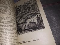 Лот: 6735181. Фото: 4. Россия времени Ивана Грозного... Красноярск