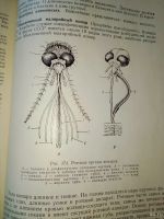 Лот: 18260131. Фото: 3. Биология с общей генетикой 1966г. Литература, книги