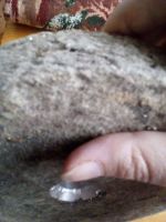 Лот: 10714410. Фото: 4. Войлочный шлифовальный круг. Красноярск