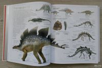 Лот: 8248900. Фото: 3. Большой иллюстрированный словарь. Литература, книги