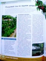 Лот: 17542133. Фото: 2. 1001 верный способ жить лучше... Дом, сад, досуг