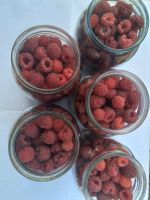 Лот: 19307751. Фото: 2. Малина (цена за 5 литров +доставка... Продукты