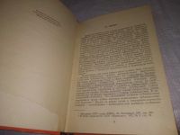 Лот: 23598046. Фото: 2. (1092387)Публицист и действительность. Литература, книги