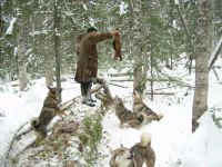Лот: 10794361. Фото: 2. Охотугодье. Готовый бизнес