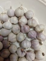 Лот: 20357916. Фото: 2. Чеснок Яровой мелкий. Продукты