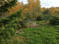 Лот: 25810523. Фото: 5. участок , садоводческое некоммерческое...