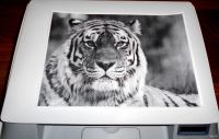 Лот: 13352348. Фото: 5. Мфу Samsung SCX-4100 в отличном...