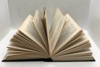 Лот: 13360150. Фото: 5. 📗 А. Чапыгин. Разин Степан. Исторический...