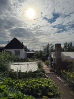 Лот: 25646372. Фото: 19. 2-комн. дом , село Есаулово улица...