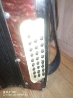 Лот: 13069599. Фото: 2. гармонь. Музыкальные инструменты