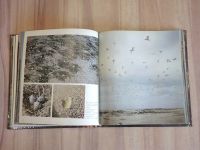 Лот: 22182709. Фото: 6. книга альбом астраханский заповедник...