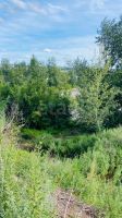 Лот: 25881096. Фото: 13. участок , садоводческое некоммерческое...