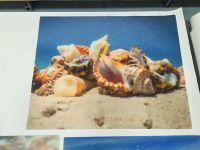 Лот: 10905018. Фото: 3. Картины из морской соли. Красноярск