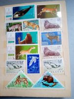 Лот: 19835388. Фото: 5. Альбом с марками (ссср)