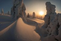 Лот: 14978075. Фото: 5. Объектив Samyang MF 10mm f/2.8...