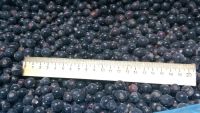 Лот: 6855085. Фото: 2. Смородина черная. Продукты