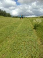 Лот: 11732814. Фото: 2. Сено (укос июнь 2018) 3 рулона... Животные и уход