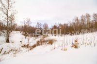 Лот: 25294809. Фото: 11. участок , ДНТ Чёрная Сопка ДНТ...