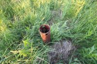 Лот: 25516566. Фото: 19. 2-комн. дача , село Есаулово Вербная...