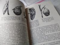 Лот: 18485334. Фото: 11. Халифман И. Пароль скрещенных...