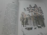 Лот: 19510531. Фото: 4. Детская книга "Год в лесу" И.Соколов-Микитов... Красноярск