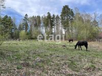 Лот: 25295192. Фото: 18. 2-комн. дом , СНТ Залив СНТ Залив...