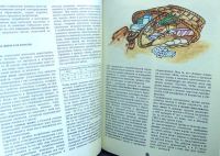 Лот: 15792364. Фото: 9. Райзберг Борис - Экономическая...