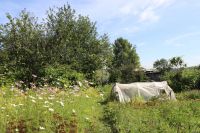 Лот: 16518053. Фото: 6. Дача, дачный участок.