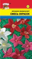 Лот: 12876717. Фото: 3. Семена ипомеи "Квамоклит", смесь... Для дачи, дома, огорода, бани, парка