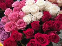 Лот: 13861877. Фото: 3. Розы разные/ Эквадор. Сувениры, подарки