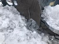 Лот: 24872269. Фото: 17. лонжерон Kia Seltos SP2