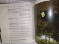 Лот: 20844891. Фото: 5. oz ....(209231) Im Harz: Bilder...