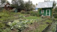 Лот: 3292719. Фото: 2. Дача (Малый Кускун). Продажа