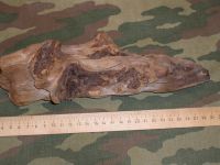 Лот: 7170111. Фото: 3. Коряга в горшок,аквариум,террариум... Растения и животные