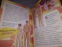 Лот: 17368076. Фото: 7. Человек. Как появился человек...