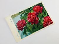 Лот: 23296745. Фото: 2. Цветы: Пион. Алый. Открытка. Открытки, билеты и др.