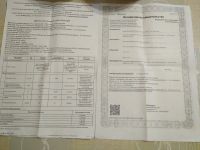 Лот: 13207268. Фото: 2. Мед Алтайский. Продукты