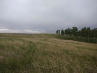 Лот: 10514559. Фото: 6. Участок. Кузнецово. Теремок