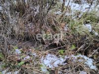 Лот: 25299291. Фото: 15. 1-комн. дача , садоводческое некоммерческое...