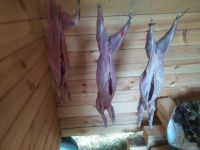 Лот: 16482653. Фото: 3. Мясо кролика. Красноярск
